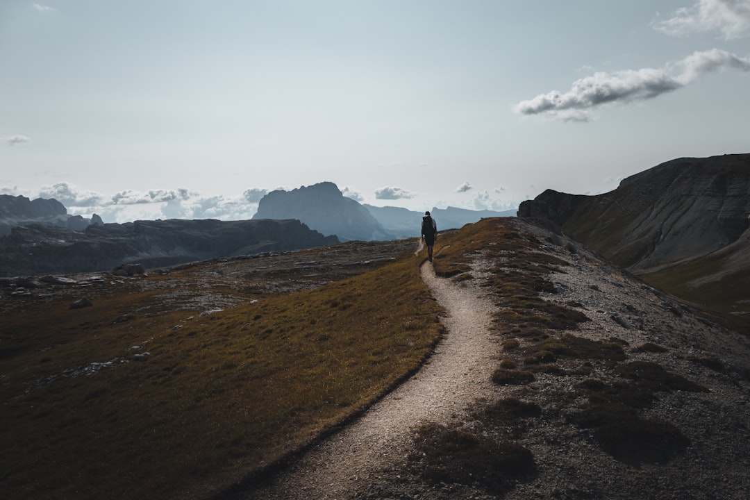 A person viewed from behind walks along a clear, well-defined path through a sunlit forest, representing the personal journey of rebuilding one's life.